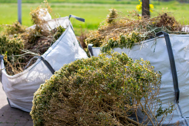 Best Attic Cleanout Services  in Brooktrails, CA